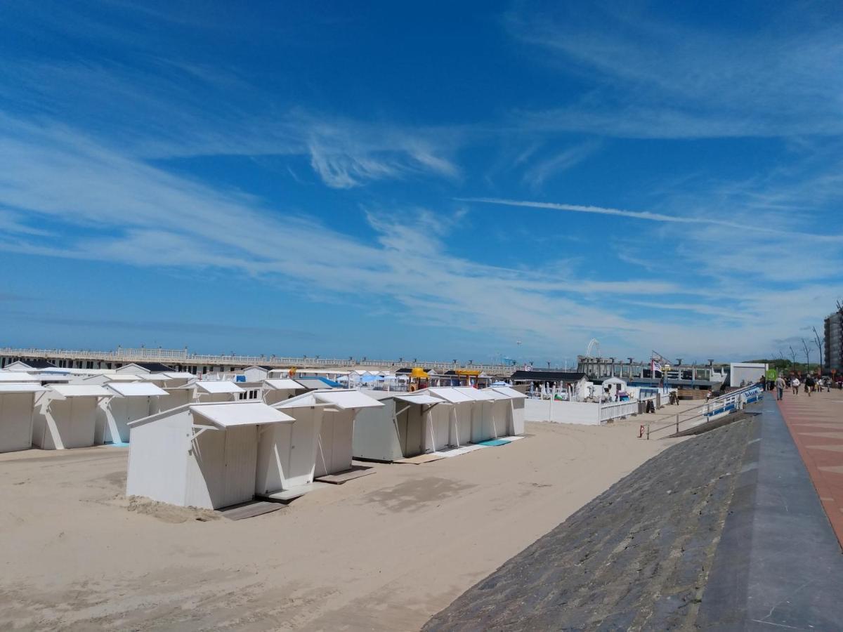 Beachview Pier בלנקנברג מראה חיצוני תמונה